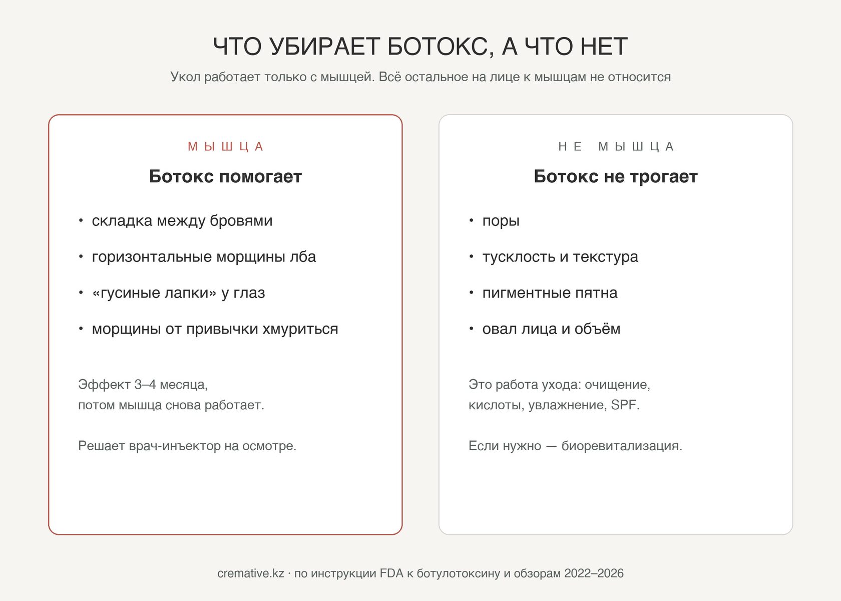 Схема: складка между бровями, лоб и гусиные лапки — это мышца, ботокс помогает; поры, тусклость, пигмент и овал — не мышца, ботокс не трогает