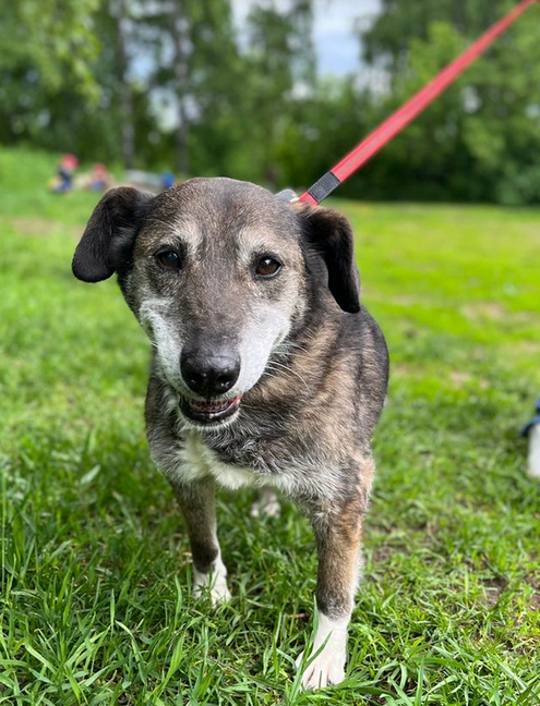 Плюша из Некрасовки