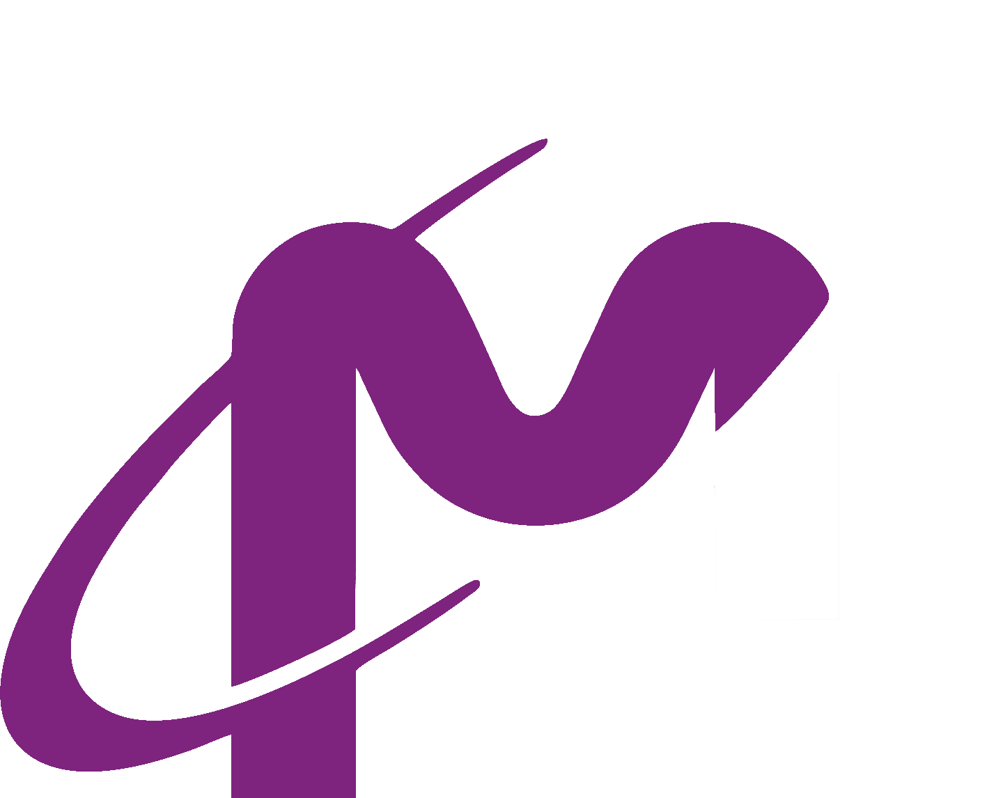 Company