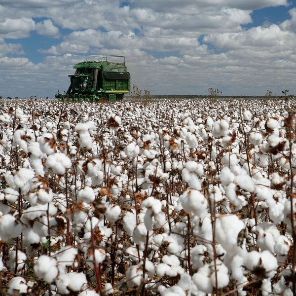 однодневные туры в казахстан