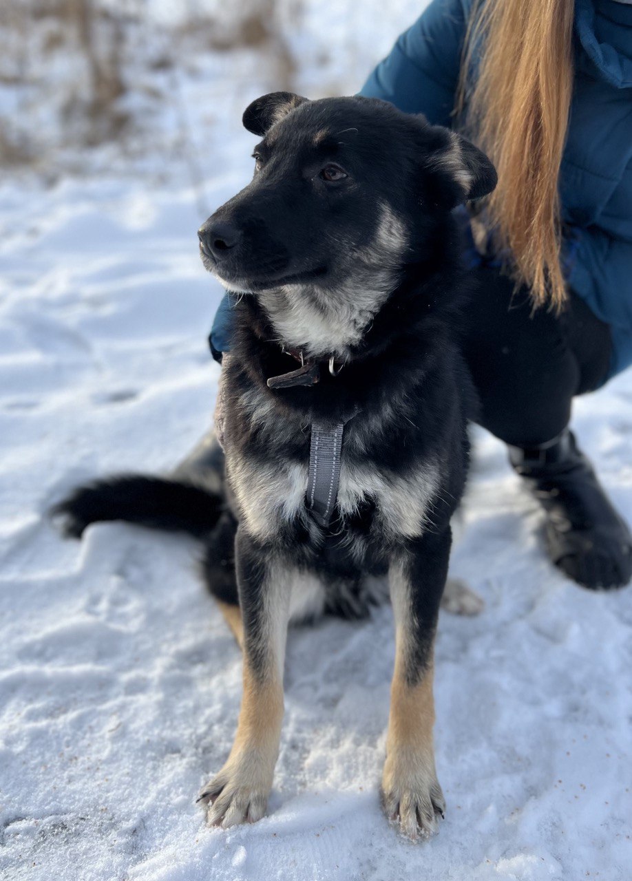 Авель из Некрасовки