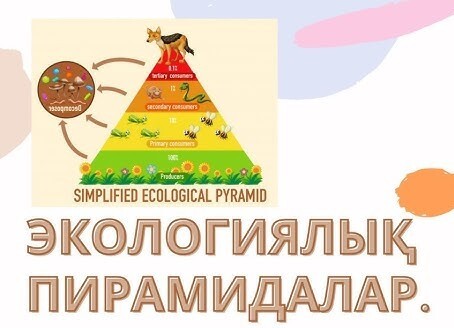 Балапандары төрт аяқты бөктерімен бірге тұрады Балапандары төрт аяқты бөктерімен бірге тұрады
