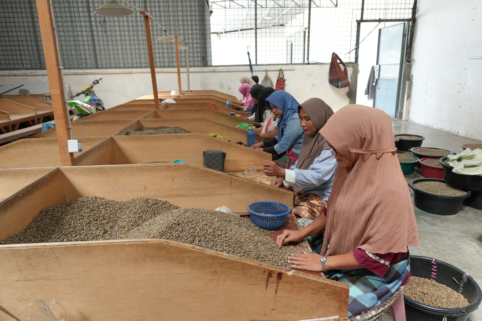Coffee farmers