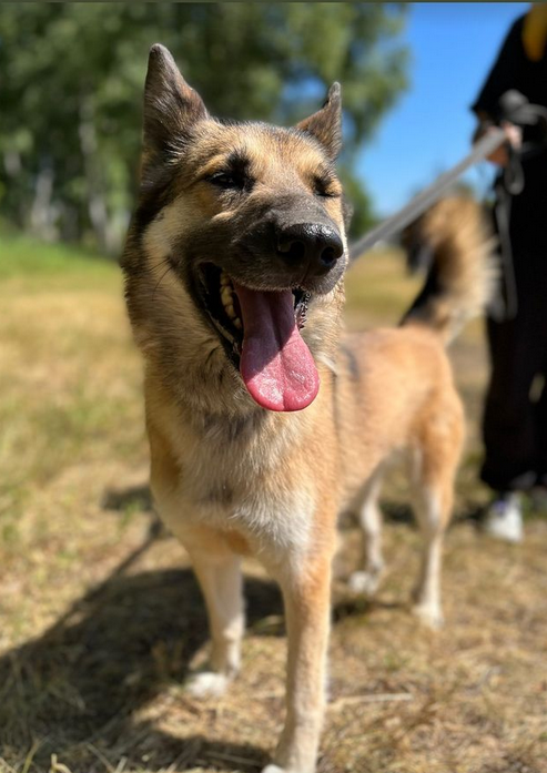 Линда из Некрасовки