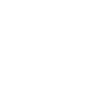 website icon