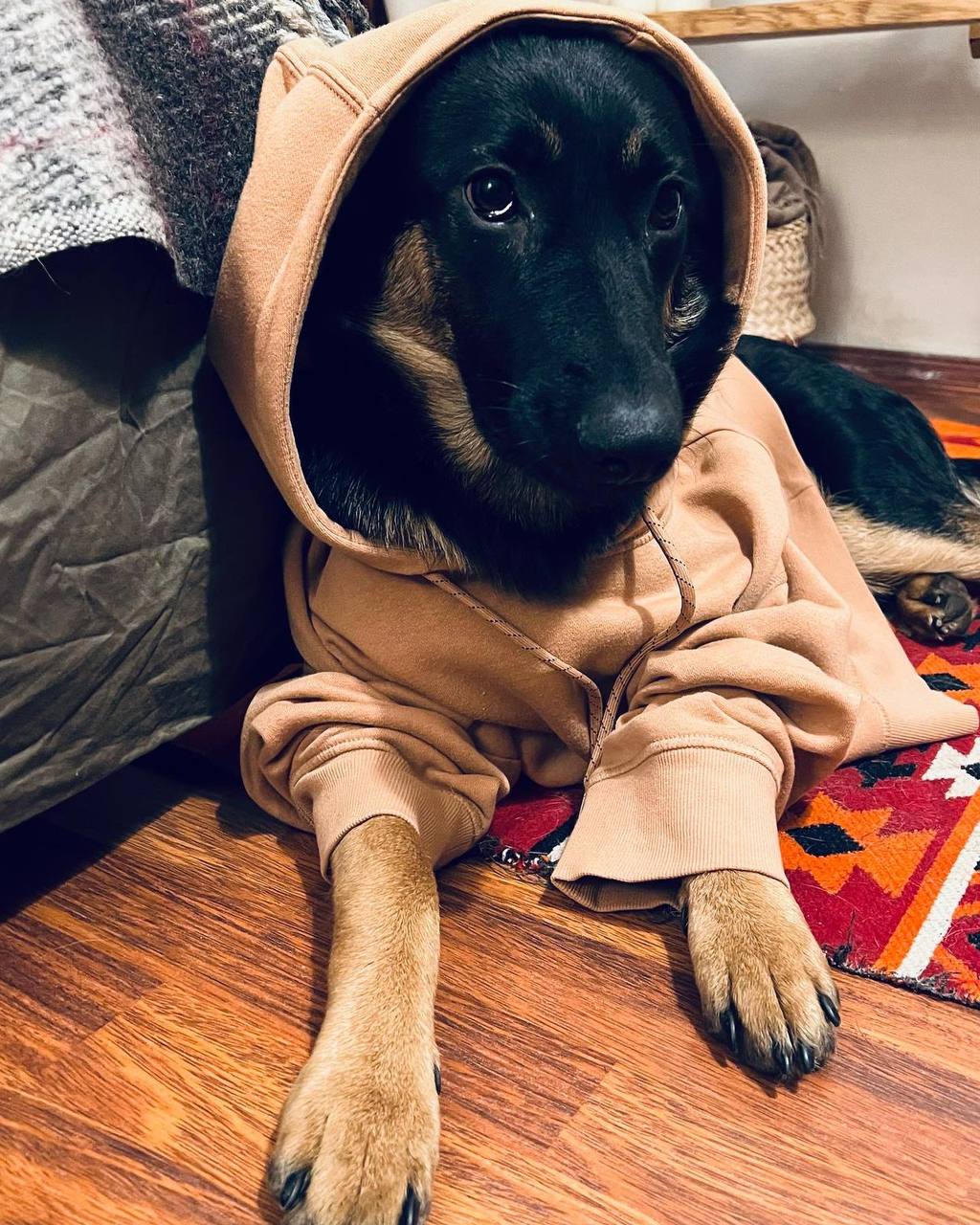 Тора из Некрасовки