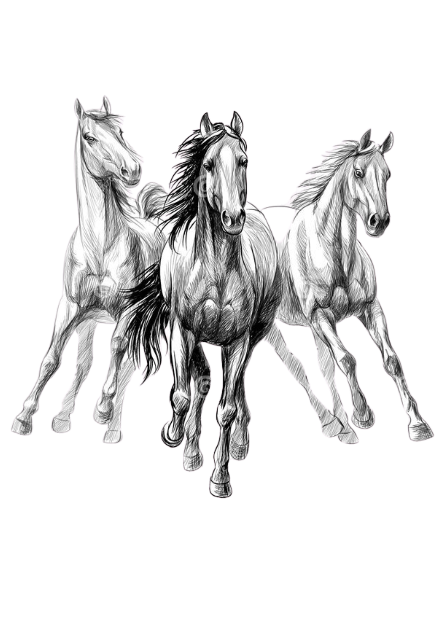 Карты тройка коллекционные. Карта тройка белая. Тройка лошадей. Три лошади раскраска. Золотая карта тройка.