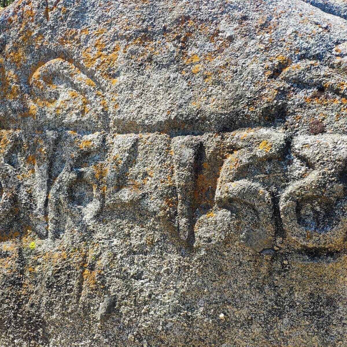 tour to tamga gorge in kyrgyzstan