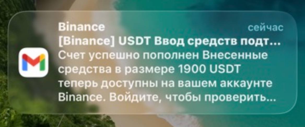 Мои результаты