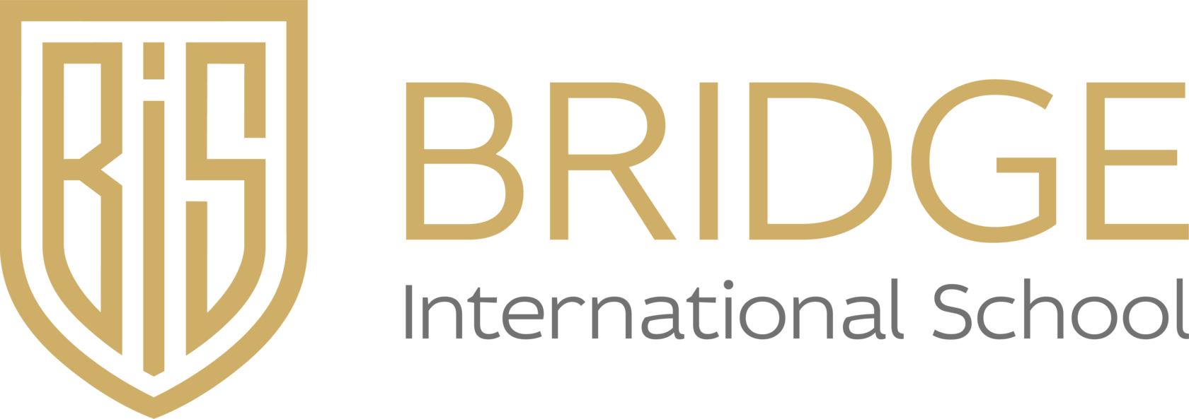 Bridge International School