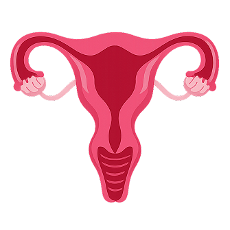 Гинекология