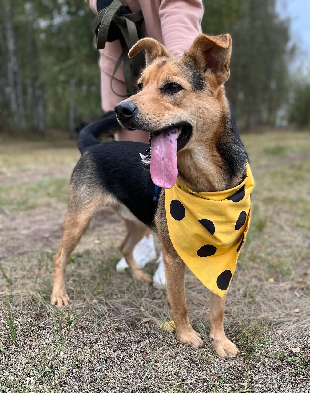 Амур из Некрасовки