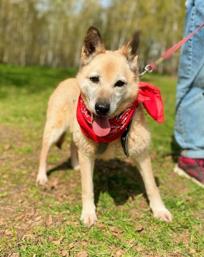 Милашка из Некрасовки