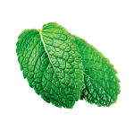 Сироп Маракуйя