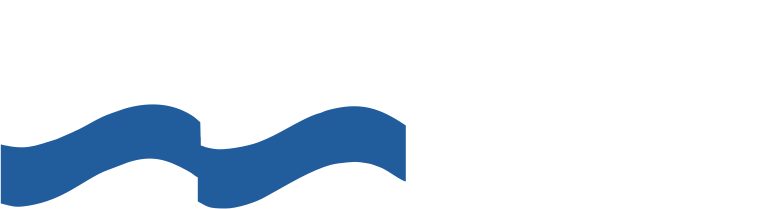 Логотип RULE