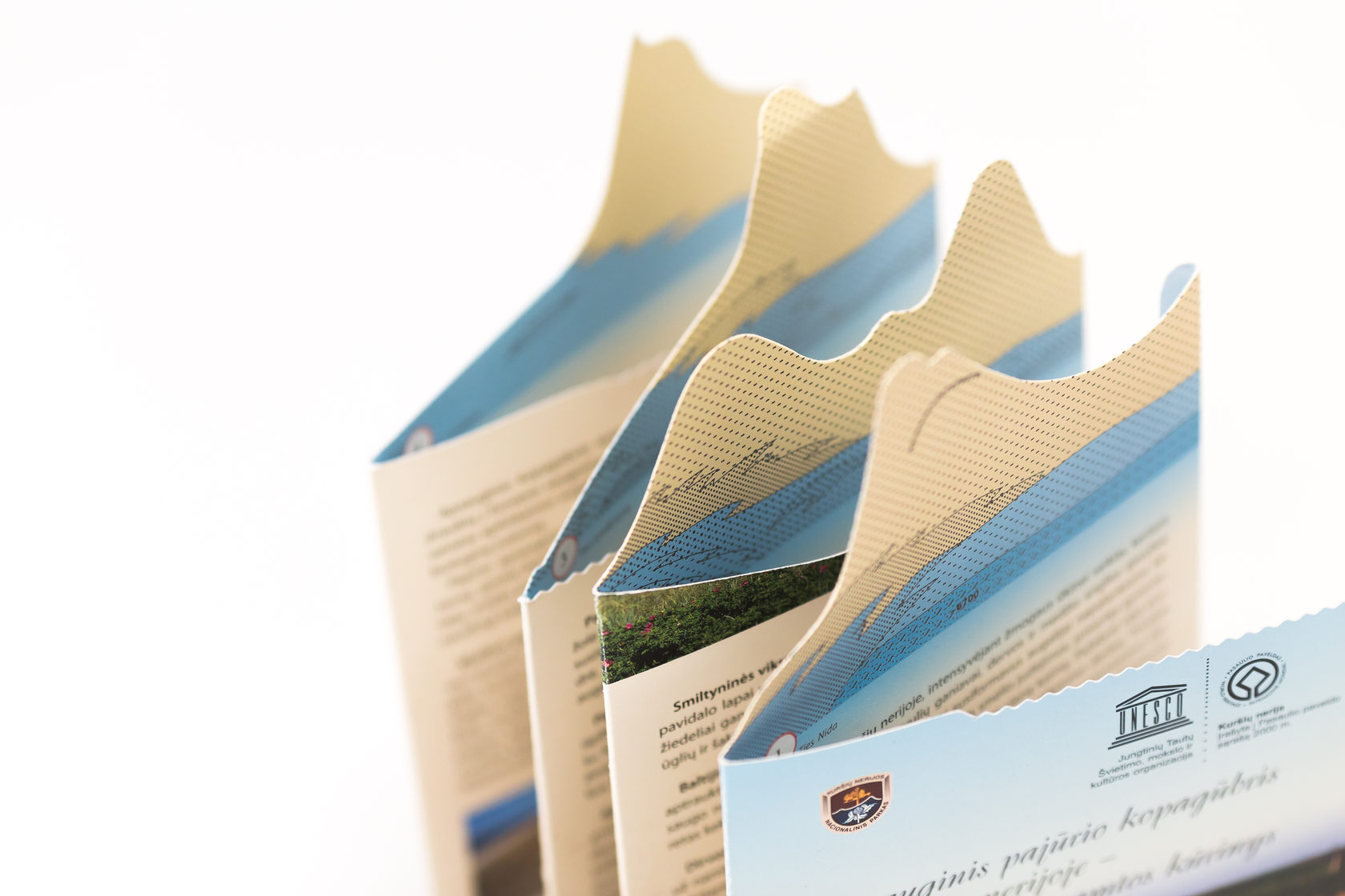 Листовки — работа типографии Paperi, Алматы