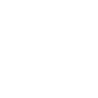  Q-Sav 