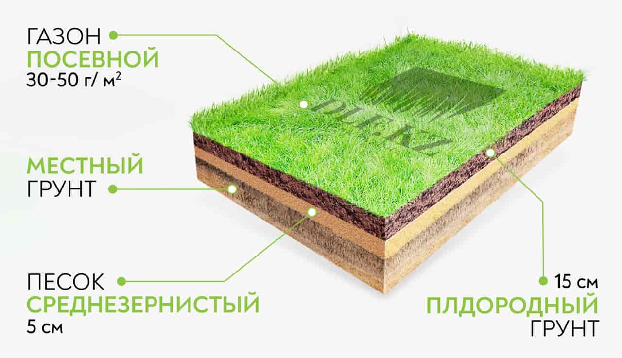 Что выбрать: посевной или рулонный газон? Плюсы и минусы