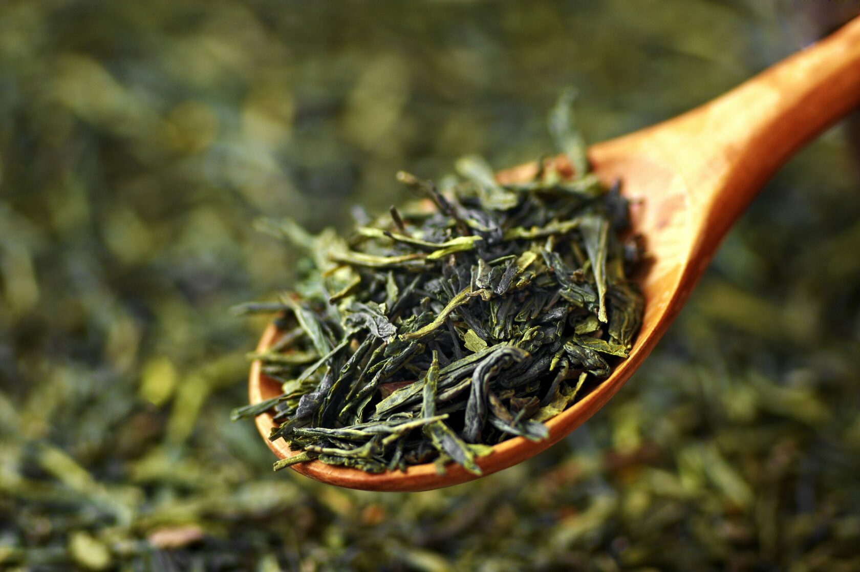 Трава зеленый чай. Чай зеленый "чай Великого императора". Зеленый чай Green Tea. Зеленый чай «китайская липа». Листья чая.