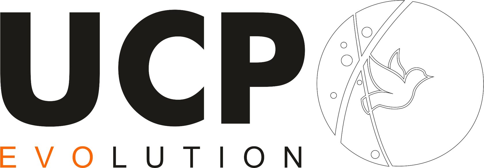 Fund «United Charity Projects Evolution»