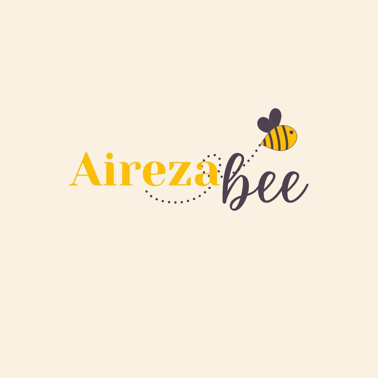 Aireza Bee, клиент Birsan