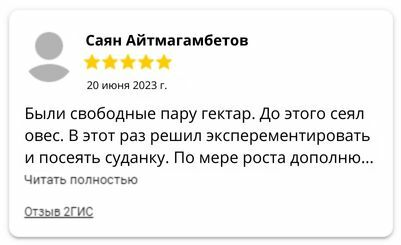 Выращивание семян суданки отзывы