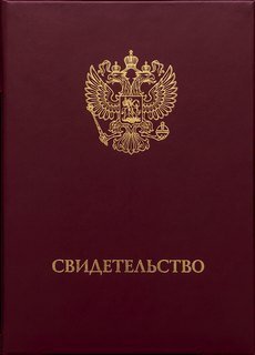 Свидетельство о дополнительном образовании