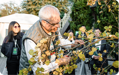 обрезка дерева