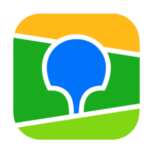 website icon
