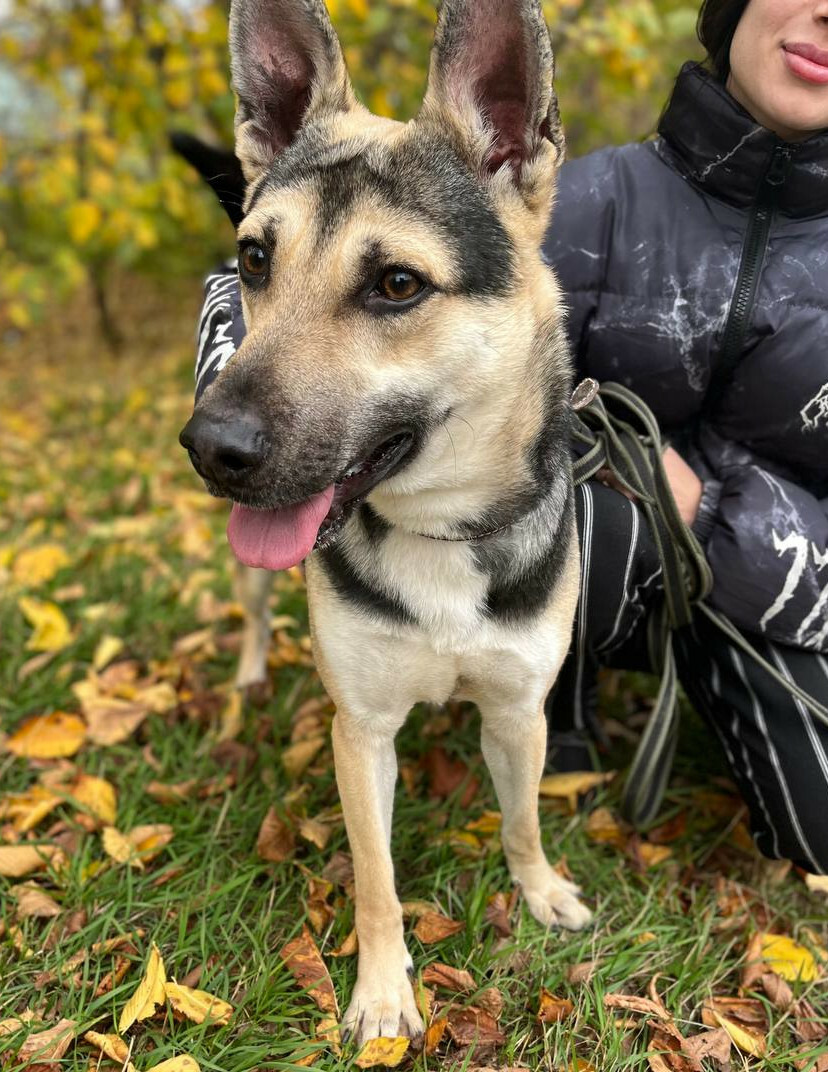 Джем из Некрасовки