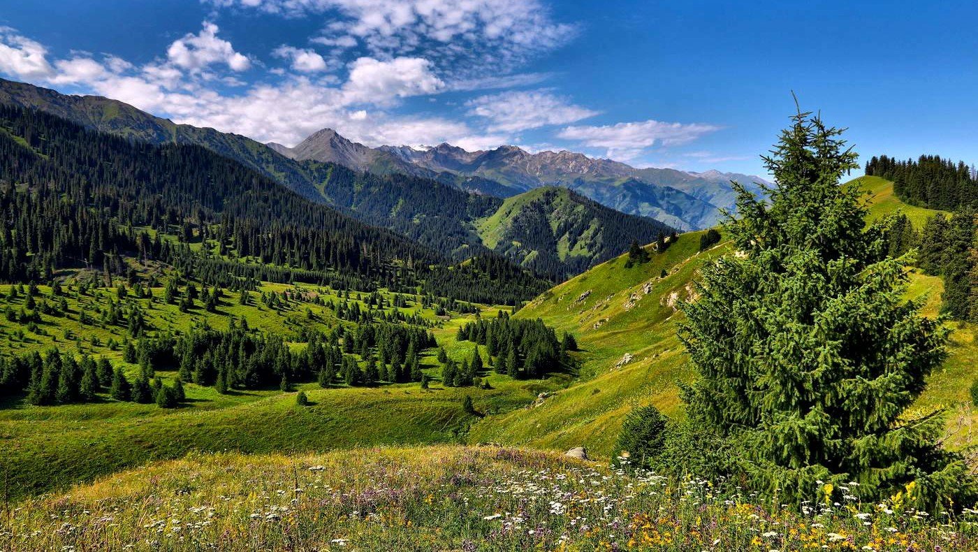 ЖК AQSAI RESORT