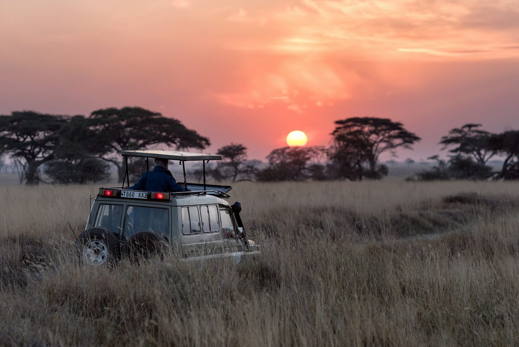 Wildlife in Africa
