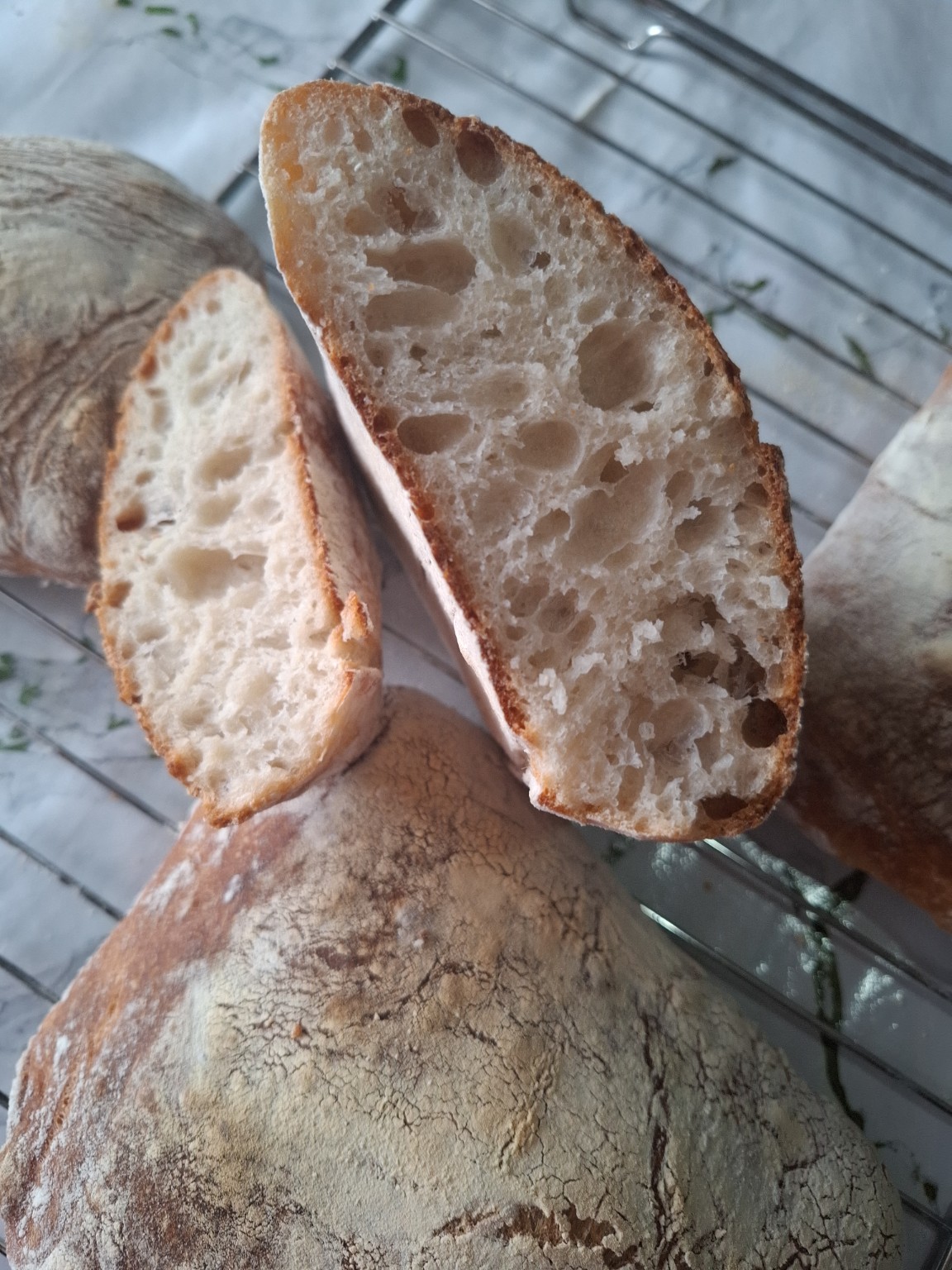 Homemade ciabatta with poolish