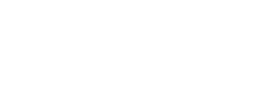 Бизнес инициатива 2004