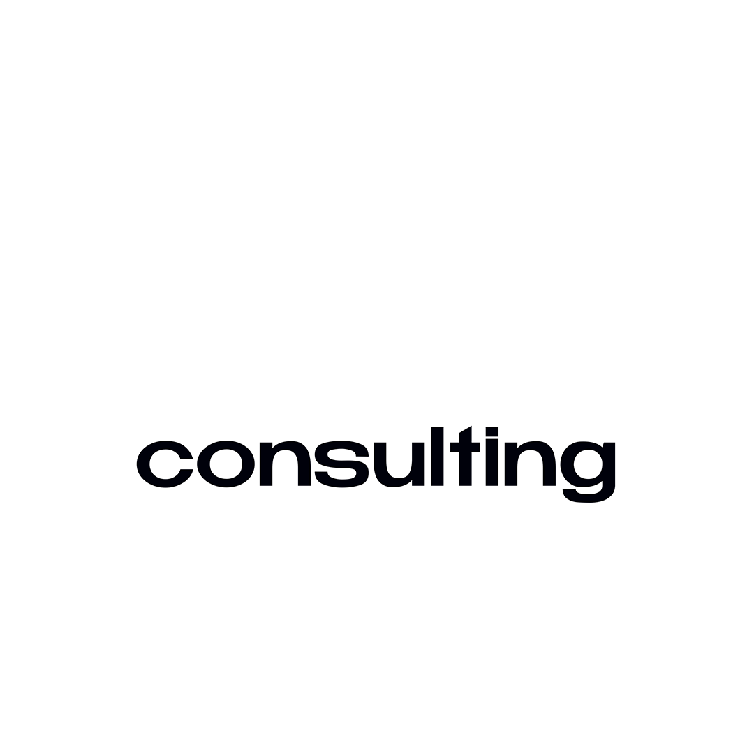 smb consulting