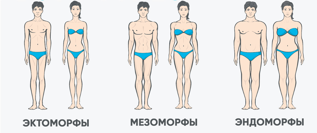 Типы телосложения