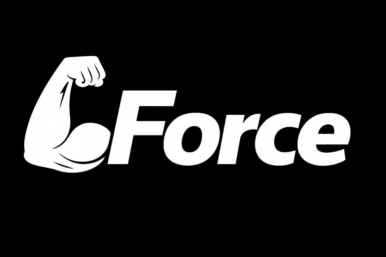 Force — спортивное питание, клиент Birsan