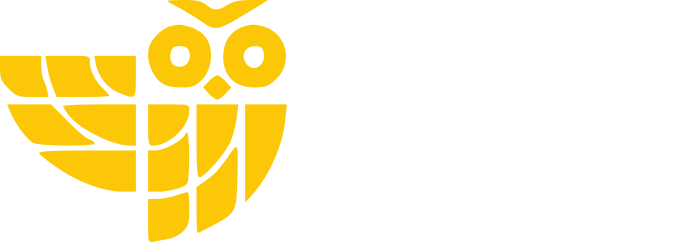  Европейское образование без ЕНТ и вступительных экзаменов 