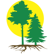  GREEN SERVICE 