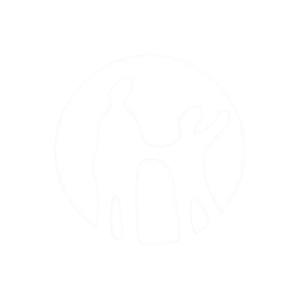 website icon