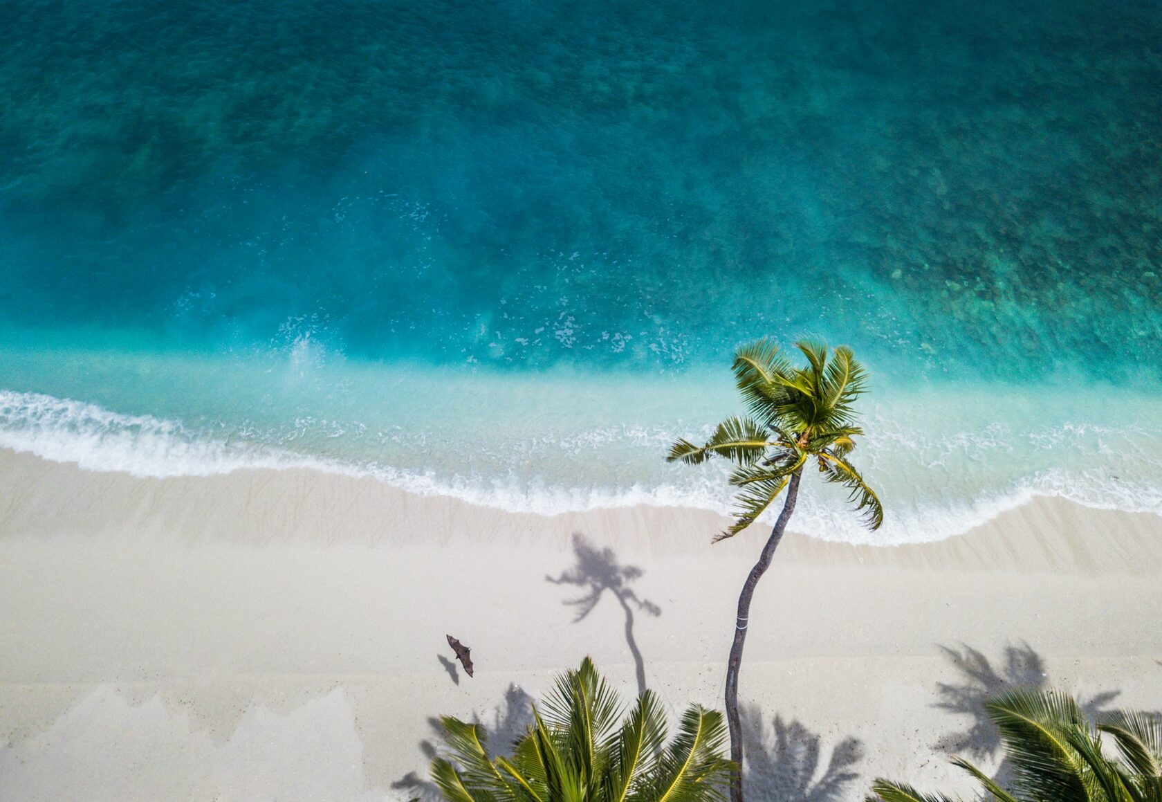 Ocean and white sand beach