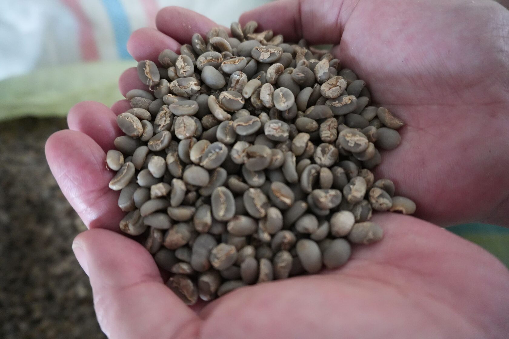 Green coffee beans