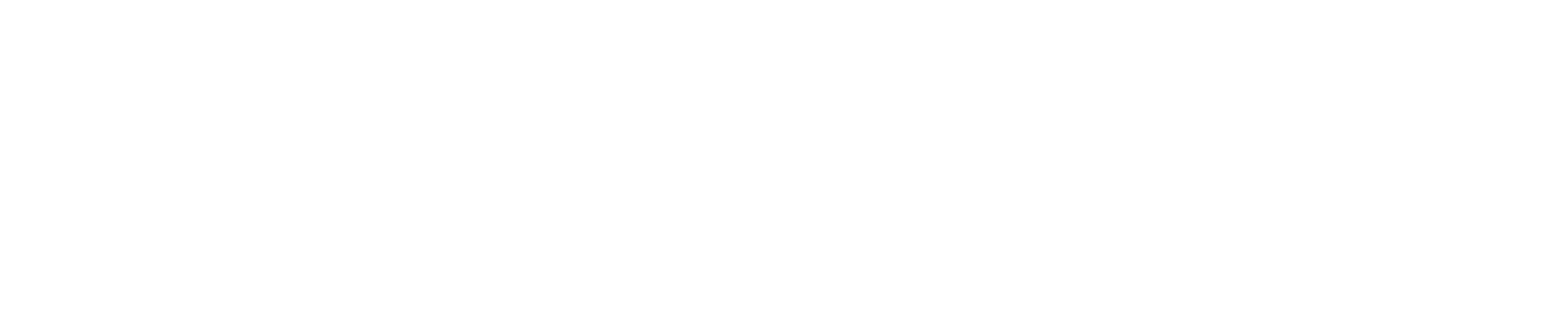 InfoVizion
