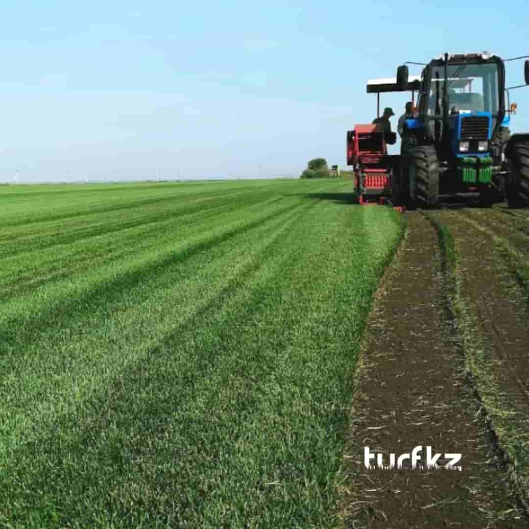 Подготовка почвы под рулонный газон от turf. Читай тут!