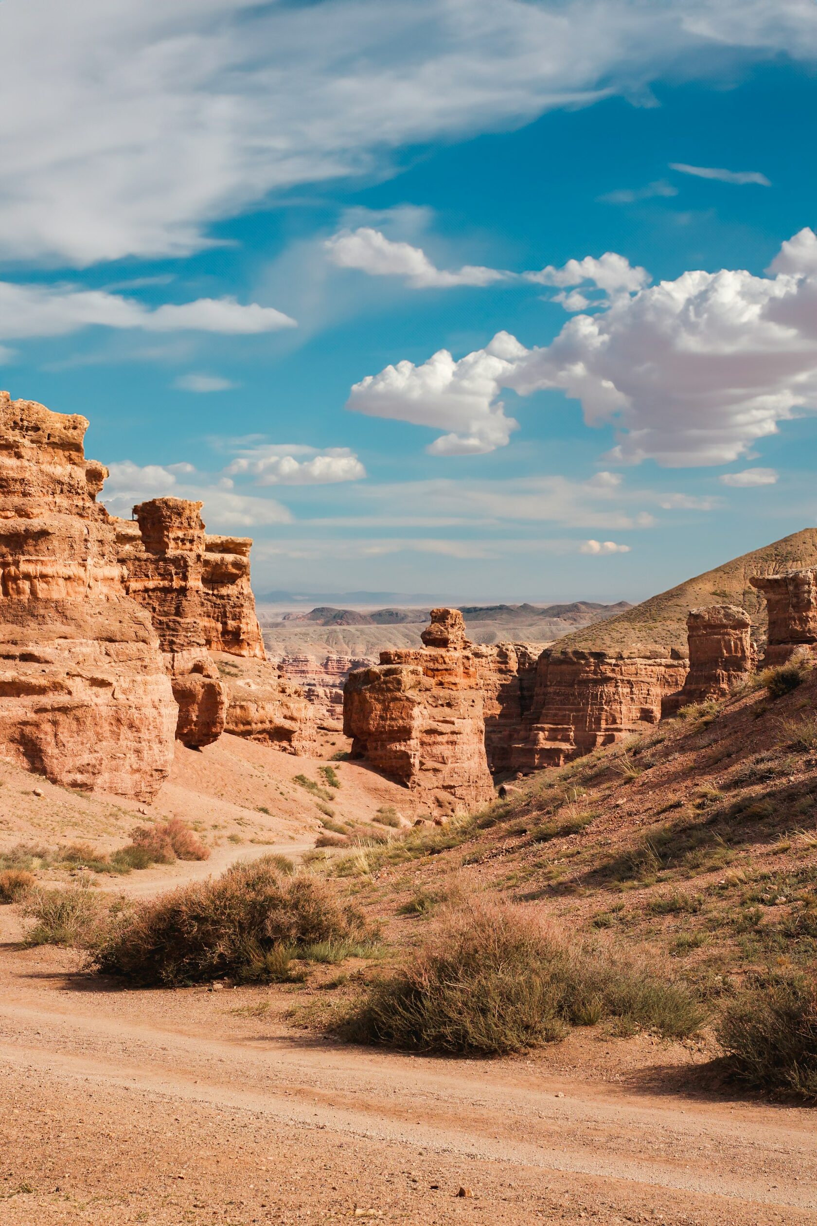 Summer canyon landscape