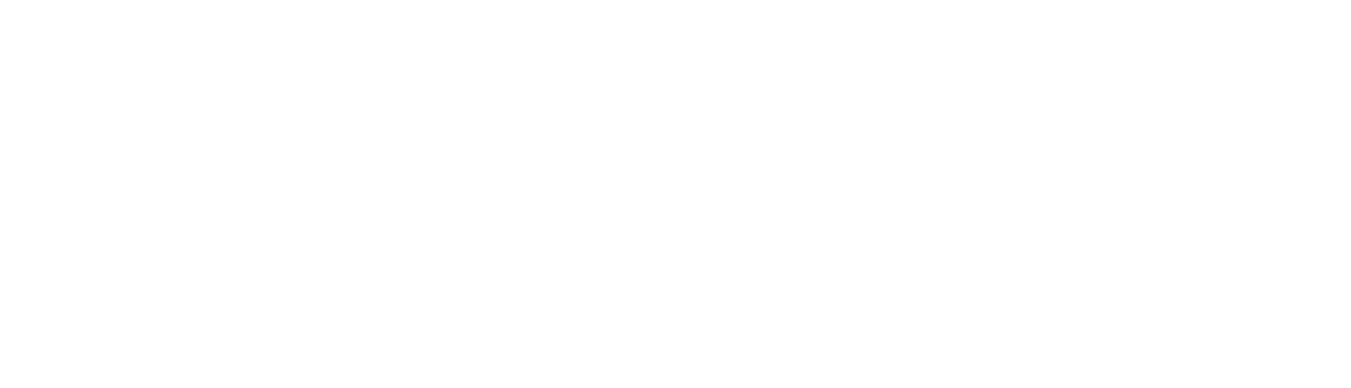 SDU University