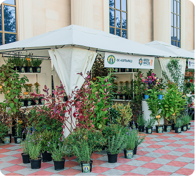 растения