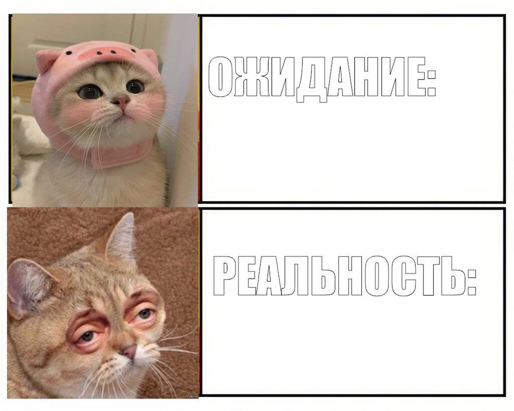 Мем: ожидание и реальность