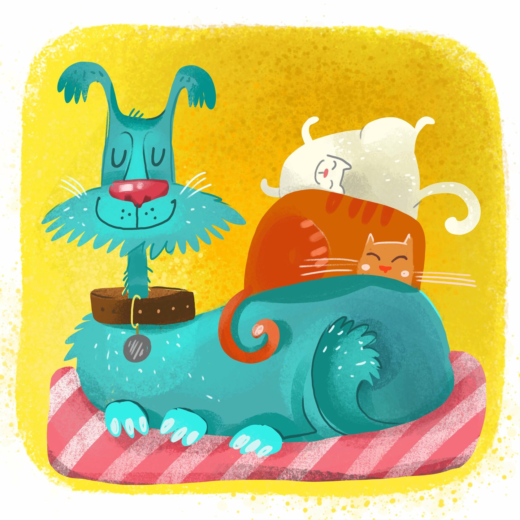 Домашние собаки из приюта