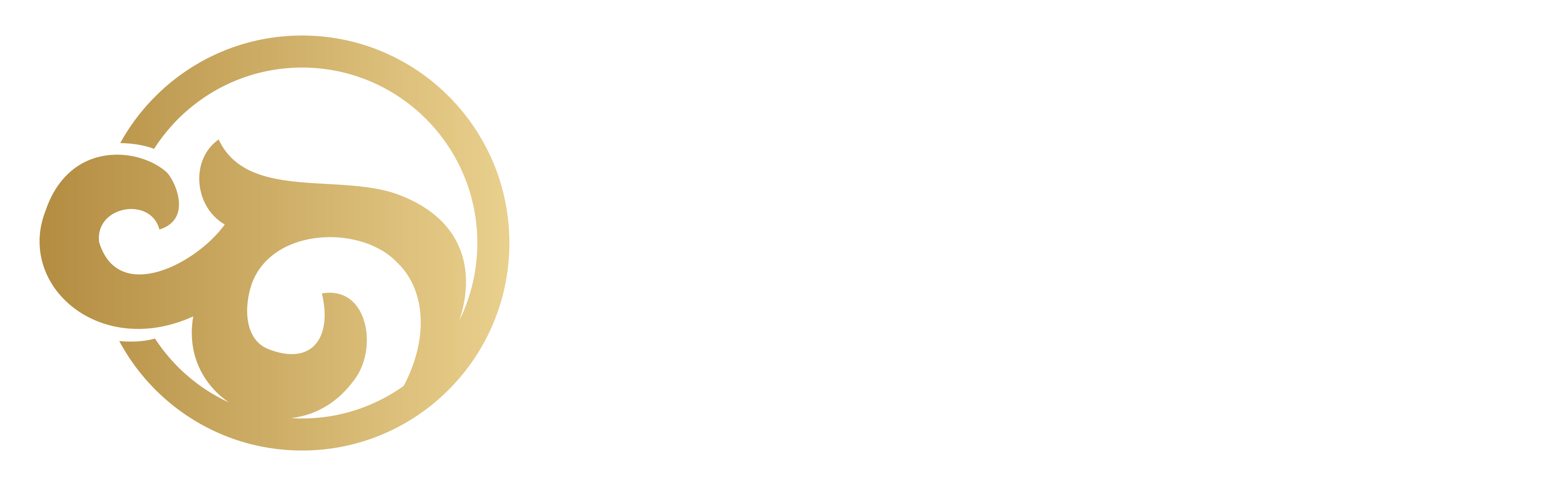 Company